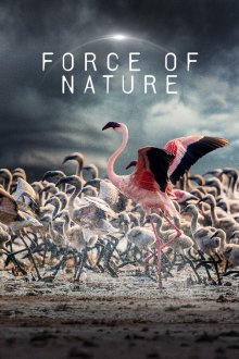 Сила природы (2026) Force of Nature