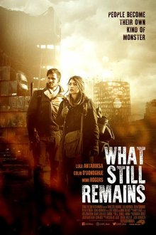  Что ещё остаётся (2018) What Still Remains