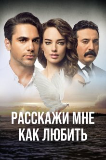  Расскажи мне, как любить (2016) Bana Sevmeyi Anlat 