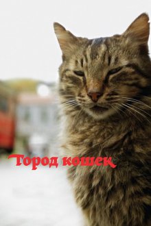  Город кошек (2016) Kedi