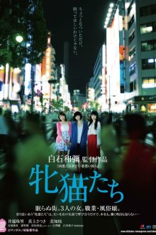  Кошачий рассвет (2017) Mesuneko tachi