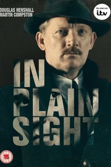  На виду (2016) In Plain Sight 