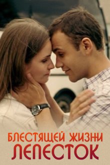  Блестящей жизни лепесток (2016) 