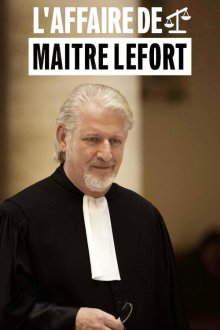  Дело адвоката Лефора (2016) L'affaire de Maître Lefort