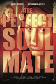  Родственные души (2017) The Perfect Soulmate