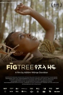  Инжир (2018) Fig Tree