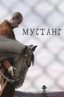  Мустанг (2019) The Mustang