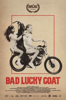 Невезучий козёл (2017) Bad Lucky Goat