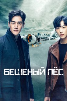  Бешеный пёс (2017) Maedeu dok 