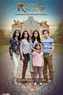  Птицы без крыльев (2017) Kanatsiz Kuslar 
