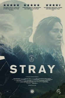  Заблудшие (2018) Stray