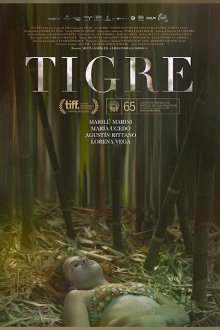  Тигр (2017) Tigre