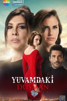  Враг в моём доме (2018) Yuvamdaki Düsman 