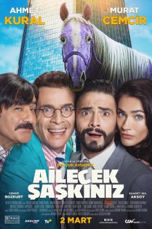  Безумная семейка (2018) Ailecek Saskiniz