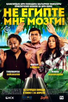  Не египте мне мозги! (2018) 