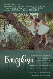  Близнецы (2018) 