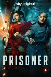 Заключённый (2026) Prisoner