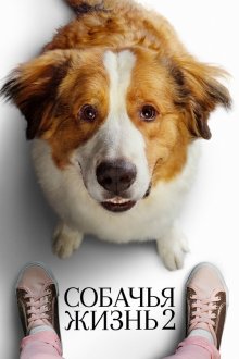  Собачья жизнь 2 (2019) A Dog's Journey