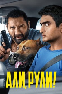  Али, рули! (2019) Stuber