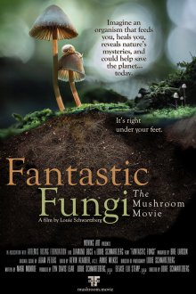  Фантастические Грибы (2019) Fantastic Fungi