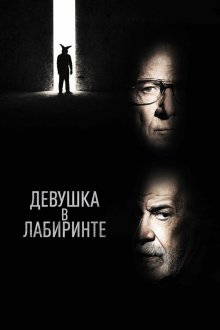 Девушка в лабиринте (2019) L'uomo del labirinto