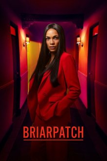  Тернистый Путь (2019) Briarpatch 