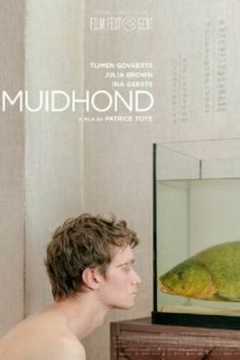  Линь (2019) Muidhond