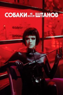  Собаки не носят штанов (2019) Koirat eivät käytä housuja