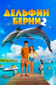  Дельфин Берни 2 (2019) Bernie the Dolphin 2