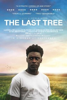  Последнее дерево (2019) The Last Tree