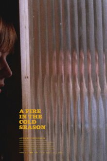  Пожар в холодное время года (2020) A Fire in the Cold Season