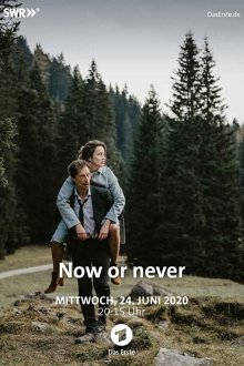  Сейчас или никогда (2019) Now or Never