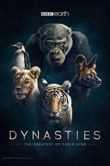  Династии (2018) Dynasties 