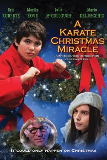  Рождественское чудо в стиле карате (2019) A Karate Christmas Miracle