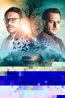  След лисицы на камнях (2019) 