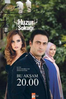 Мирная улица (2012) Huzur Sokagi 