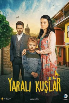  Раненые птицы (2019) Yarali Kuslar 