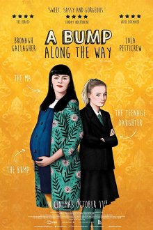  Как снег на голову (2019) A Bump Along the Way