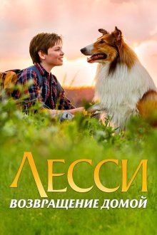  Лесси. Возвращение домой (2020) Lassie - Eine abenteuerliche Reise