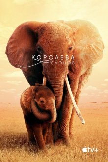  Королева слонов (2019) The Elephant Queen
