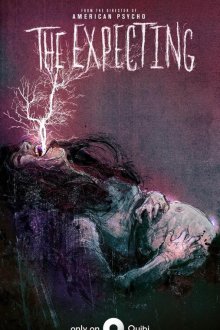  В ожидании (2020) The Expecting 