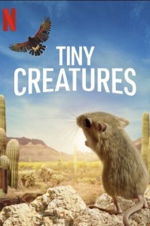  Крошечные существа (2020) Tiny Creatures 