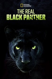  Настоящая чёрная пантера (2020) The Real Black Panther