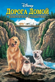  Дорога домой: Невероятное путешествие (1993) Homeward Bound: The Incredible Journey