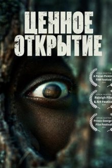 Ценное открытие (2026) Paydert
