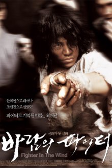  Воин ветра (2004) Baramui paiteo