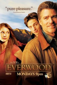  Любовь вдовца (2002) Everwood 
