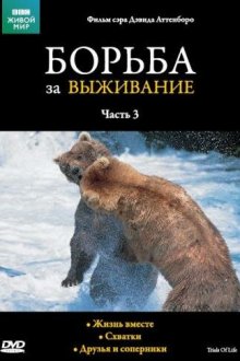  BBC: Борьба за выживание (1990) The Trials of Life 