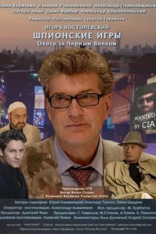  Шпионские игры: Охота на черного волка (2006) 