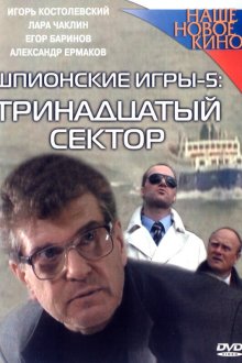  Шпионские игры: Тринадцатый сектор (2007) 